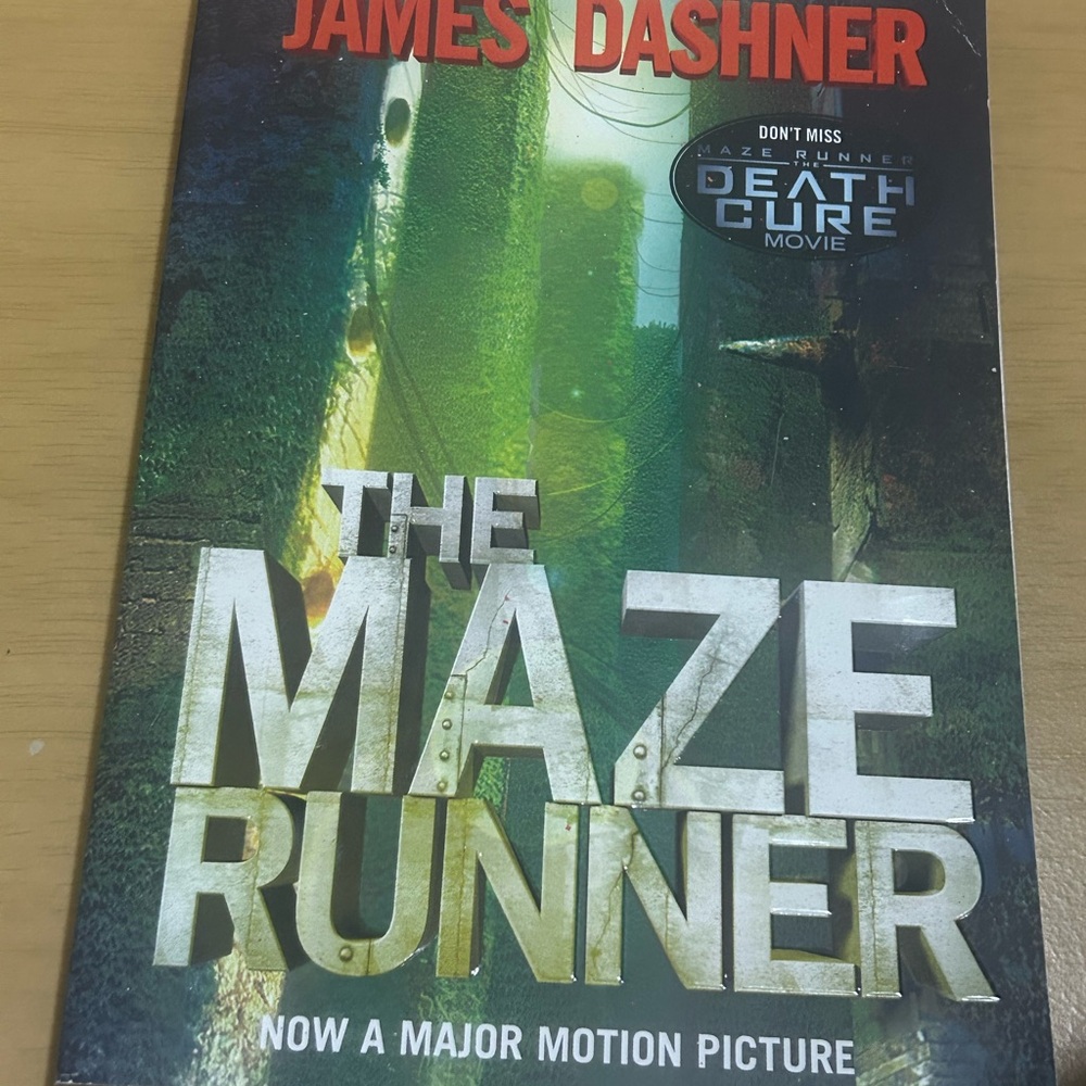 The Maze Runner 🏃 - Picture 2 of 4